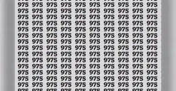 Tes Penglihatan: Coba Temukan Angka 973 di Antara Angka 975 untuk Mengetahui Seberapa Teliti dan Jeli Mata Kamu