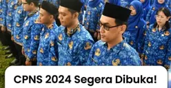 Cek Disini! Bocoran Formasi CPNS 2024 yang Akan Dibuka, Kemendikbud Ada 15.462 Formasi