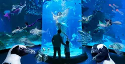 5 Rekomendasi Wisata Libur Lebaran di Jakarta yang Cocok untuk Coba Pengalaman Baru
