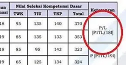 Hasil SKD CPNS 2024 Resmi Keluar! Peserta Wajib Tahu Arti Kode Kelulusan P/L, P, TL, dan TH, Begini Keterangannya!