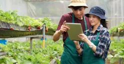 Yuk Intip! 5 Jurusan Kuliah Saintek Rasa Soshum, Berminat Daftar? 
