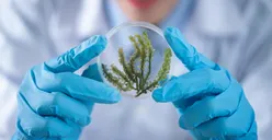 7 Rekomendasi Jurusan SNBP untuk Kamu yang Punya Nilai Biologi Tinggi