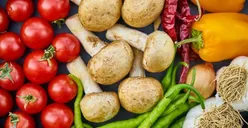 Paling Cuan! 10 Ide Usaha Rumahan Bidang Pertanian yang Potensial dan Menguntungkan, tidak perlu Lahan Luas