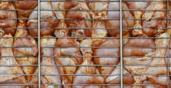 Nomor 1 Bukan Jakpus, Ini 3 Daerah Penghasil Daging Ayam Kampung Terbesar di DKI Jakarta, Capai 1.000 Ton