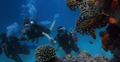 Rekomendasi 3 Destinasi Wisata di Kepulauan Seribu, Cocok Buat Kamu yang Hobi Snorkeling hingga Diving