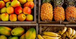 Pecinta Buah Merapat! Ini 5 Jenis Buah Paling Banyak Dipanen di Jakarta Barat, Ada Mangga hingga Pisang