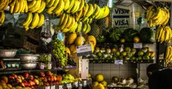 5 Jenis Buah Paling Banyak Diproduksi di Kepulauan Seribu, Capai 5.000 Kuintal