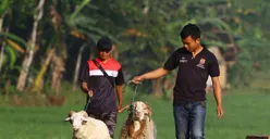 Memetik Makna di Balik Hari Raya Idul Adha yang Wajib Diketahui oleh Umat Islam, Menjadi Ajang Berbagi kepada Sesama