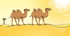 Tes IQ: Ada yang Salah dengan Gambar 2 Unta Ini Loh, Orang ber-IQ Tinggi Bisa Temukan dalam 4 Detik Saja!