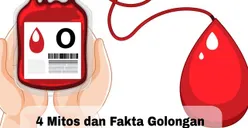 Simak Yuk, 4 Mitos dan Fakta Golongan Darah O, Benarkah Jarang Sakit dan Lebih Disukai Nyamuk?