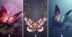 Tes Kepribadian: Pilih 1 Gambar Kupu-kupu yang Paling Cantik, Jawabanmu Ungkap Karakter Aslimu!