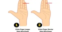2 Tipe Jari Tangan bisa Ungkap Kepribadian Seseorang, Apakah Kamu Tegas atau Tangguh? Coba Cek di sini Sekarang!