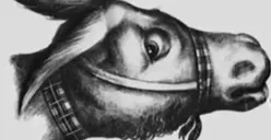 Tes IQ: Temukan Pemilik Sapi Pada Gambar Ini dalam Waktu 15 Detik, Apa Kamu Termasuk Orang Genius?