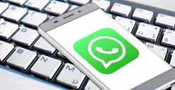 Cara Membuat Stiker Foto Sendiri di WhatsApp Tanpa Aplikasi Tambahan, Ikuti Langkah-langkahnya di Sini Ya! 