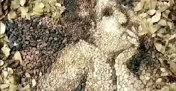 Tes Psikologi: Gambar yang Pertama Kali Kamu Lihat pada Ilusi Optik Ini Mengungkap Nasib Kehidupanmu di Masa Kini dan Masa Depan