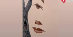 Tes Kepribadian: Kamu Lihat Pohon, Burung, atau Wajah Wanita? Jawabanmu Menguak Rahasia Asmara dengan Pasangan