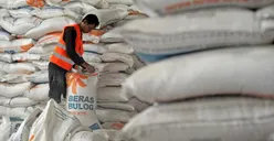 Bantuan Beras El Nino 10 Kg Dihentikan Mulai Kamis 8 Februari 2024, Ternyata Ini Penyebabnya