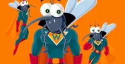 Basmi Aedes Aegypti, 4.100 Ember Berisi Bibit Nyamuk Wolbachia Disebar di Jakbar, Apa Rasanya Digigit Nyamuk Ini?