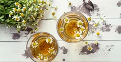 3 Efek Samping Konsumsi Teh Chamomile, Ternyata Bisa Menyebabkan Alergi loh