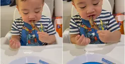 5 Fakta Unik Ikan Shisamo yang Viral karena Jadi Makanan Favorit Cipung, Ternyata Kaya Nutrisi Lho!