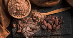 5 Daerah Penghasil Coklat Terbesar di Indonesia, 4 Diantaranya Berada di Sulawesi