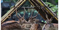 Rekomendasi 7 Tempat Wisata di Jakarta Selatan Paling Populer, Cocok Buat Healing di Akhir Pekan