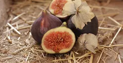 7 Manfaat Buah Ara bagi Kesehatan, Ternyata Mampu Cegah Diabetes hingga Anemia