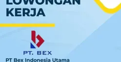Loker Maret 2024: PT Bex Indonesia Utama Membuka Peluang untuk Lulusan S1 Semua Jurusan, Penempatan di Jakarta!