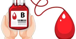 Fakta Psikologi Orang dengan Golongan Darah B, Ternyata Cocok Bekerja di 5 Bidang Pekerjaan Ini