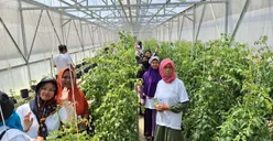 PNM Ajak Nasabah Mekaar Studi Banding Budidaya Holtikultura
