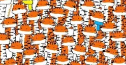 Tes Penglihatan: Kemampuan Mata Menurun? Coba Tingkatkan Lagi dengan Temukan 4 Kucing dalam 8 Detik!