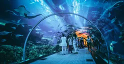Rekomendasi 10 Tempat Wisata Menarik di Jakarta, Ada yang Baru Lho!