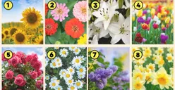 Mengenal Kepribadian Berdasarkan Bunga Favorit, Mana yang Kamu Pilih? Bunga Tulip Dimiliki si Manis, Kalau Lili?