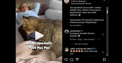 Pulang Kunjungan ke Daerah Anies Baswedan Puji Servis Aslan, Si Kucing yang Jago Pijat