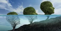 Kenali 5 Tanda Seseorang Yang Telah Dewasa Secara Emosional, Apakah Kamu Termasuk? Bukan Usia Melainkan Ini...