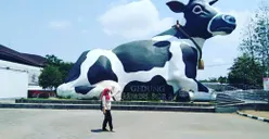 Viral di TikTok! 11 Plesetan Nama Kota di Jawa Tengah yang Bikin Cidro, dari Boyolali hingga Wonosobo