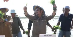 Ternyata Ini 4 Deretan Jabatan Syahrul Yasin Limpo sebelum Jadi Menteri Pertanian di Kabinet Jokowi