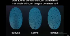 Ungkap Kepribadian Seseorang Berdasarkan Bentuk Sidik Jari yang Dimilikinya, Ternyata Pemilik Pola Curves Seperti Ini