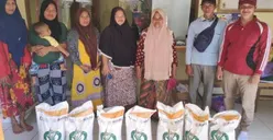 Waduh! Pencairan BLT El Nino dan Bansos Beras 10 Kg Dihentikan Sementara Mulai Hari Ini! Apa Kabar PKH dan BPNT?