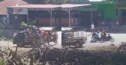 Mengenal Tradisi Kawin Tangkap di Sumba NTT yang Kini Viral dan Bikin Geram Warganet