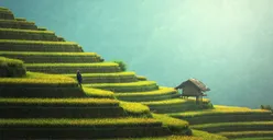 7 Kota di Indonesia yang Paling Banyak Dikujungi Wisatawan, Ada Padang dan Batam, Kalau Bali? 
