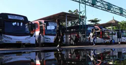 Mudik Gratis Lebaran 2024 PT Pertamina: Cek Cara Daftar, Jadwal, dan Rute yang Ditawarkan