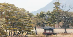 Ingin Kuliah di Korea Selatan? 10 Universitas Korea Selatan Terbaik Ini Bisa Jadi Pilihan!  