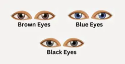 Tes Kepribadian: Apa Warna Mata Kamu, Coklat, Biru, atau Hitam? Ungkap Sifat Tersembunyi dalam Dirimu