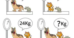 Tes IQ: Tentukan Berat Semua Hewan dalam 11 Detik dan Buktikan Tingkat Jeniusmu!