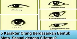 Dikenal Sebagai Jendela Jiwa, Inilah Cara Mudah untuk Mengetahui Karakter Seseorang Berdasarkan Jenis dan Bentuk Mata