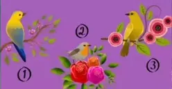 Tes Psikologi: Pilih Satu Burung, Jawabanmu akan Mengungkap Bagaimana Sikapmu saat Menghadapi Masalah