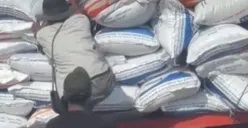 Viral Video Aksi Bajing Loncat Curi Beras dari Truk yang Sedang Melaju di Dumai Riau, Gak Bahaya Tah?
