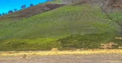Viral Kondisi Terkini Savana Bromo yang Mulai Menghijau Setelah Kebakaran, Warganet: Cepet Banget Ya