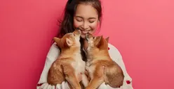 Bisa Kurangi Stres! 4 Alasan Mengapa Memiliki Hewan Peliharaan Itu Baik, Yuk Cari Tahu di Sini